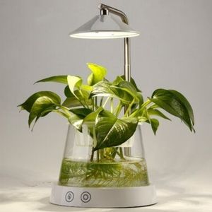 Plant Grow Lamp